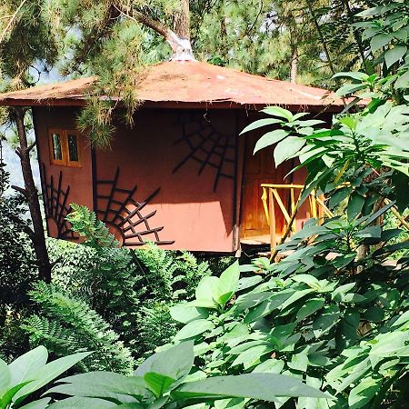 Ginigathena The Tree House酒店 外观 照片
