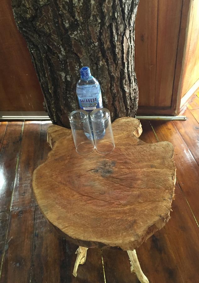Ginigathena The Tree House酒店 外观 照片